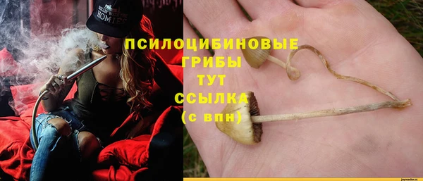 таблы Дмитриев