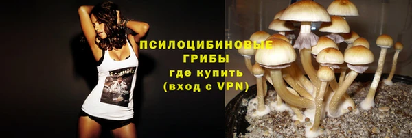 таблы Дмитриев