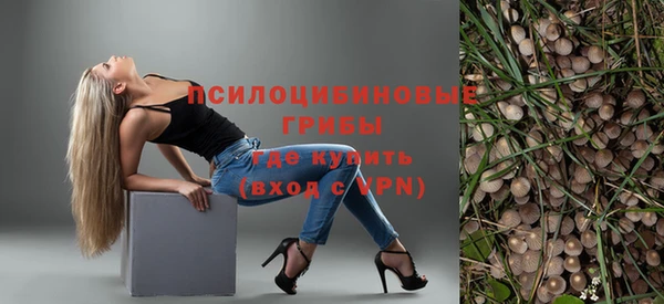 таблы Дмитриев